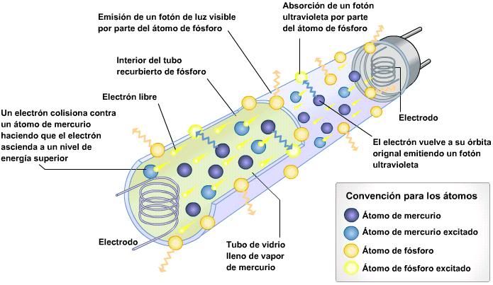 Tipos de Lámparas Tipos de Lámparas