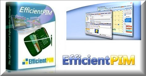 برنامج   EfficientPIM Pro V2.98