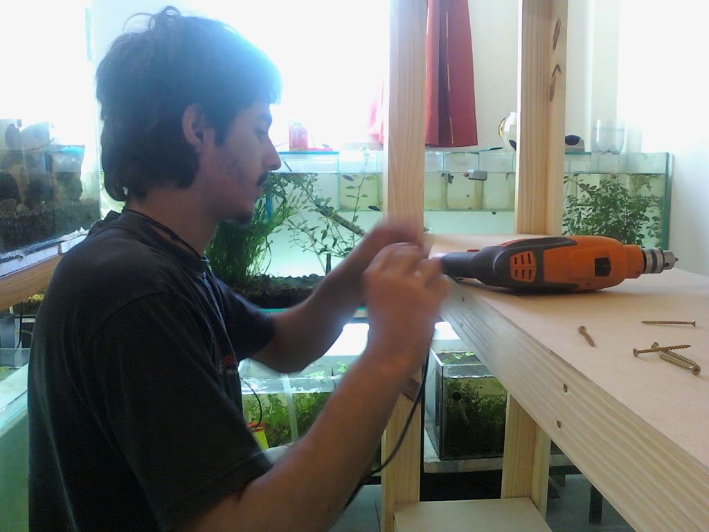 Estructura de madera