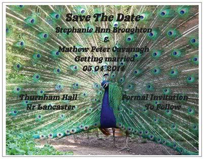 savethedate4.jpg