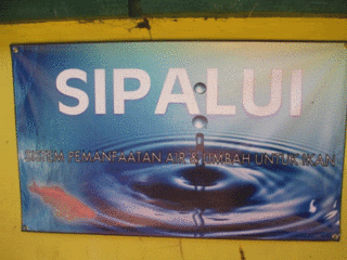 photo R3.gif