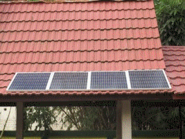 photo listrikpadam.gif
