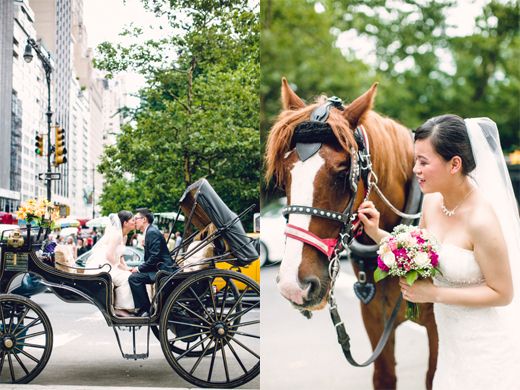 City Hall Elopement | NYC Wedding Photographer