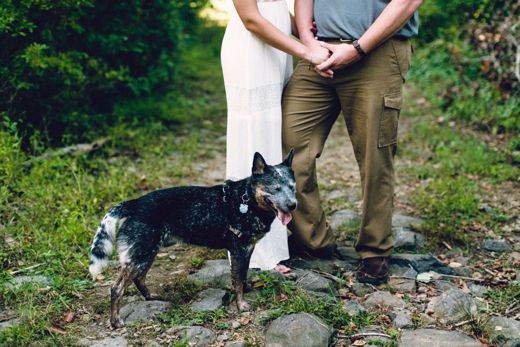 Brandywine Creek State Park | Philadelphia Wedding Photographer | Danfredo Photos + Films