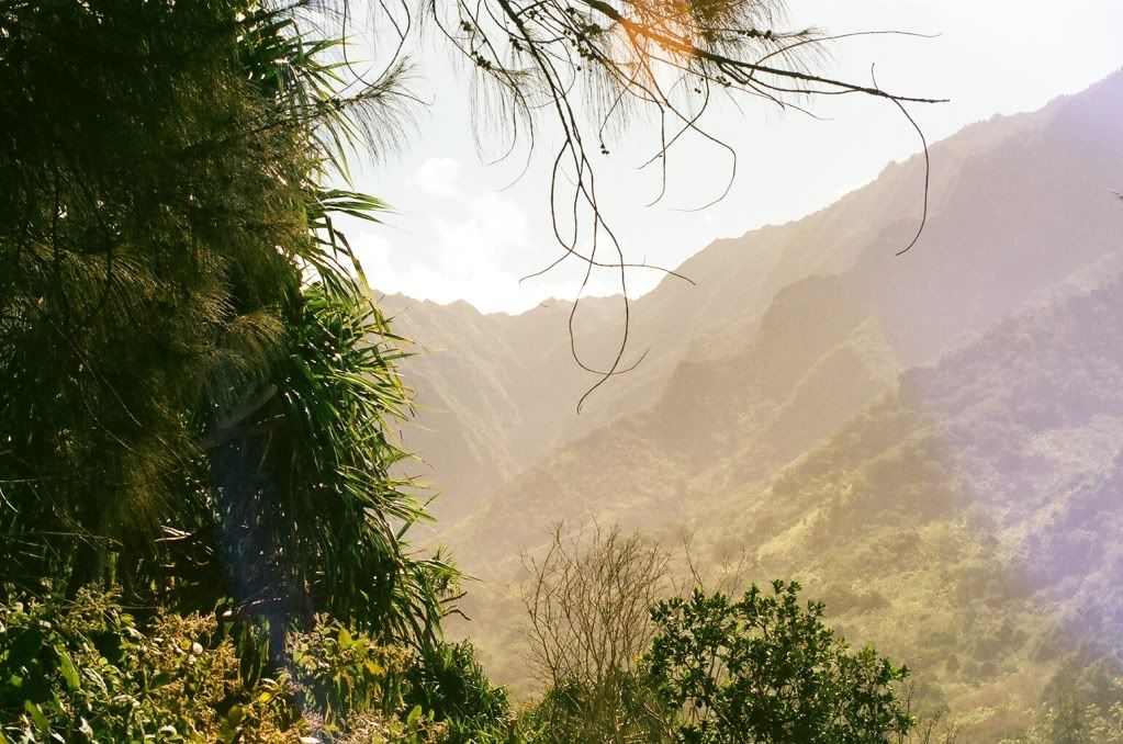 Kalalau trail canyon view kauai