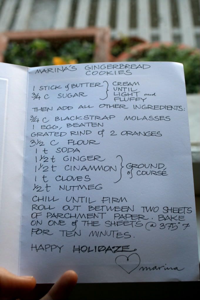 marina's gingerbread cookie recipe