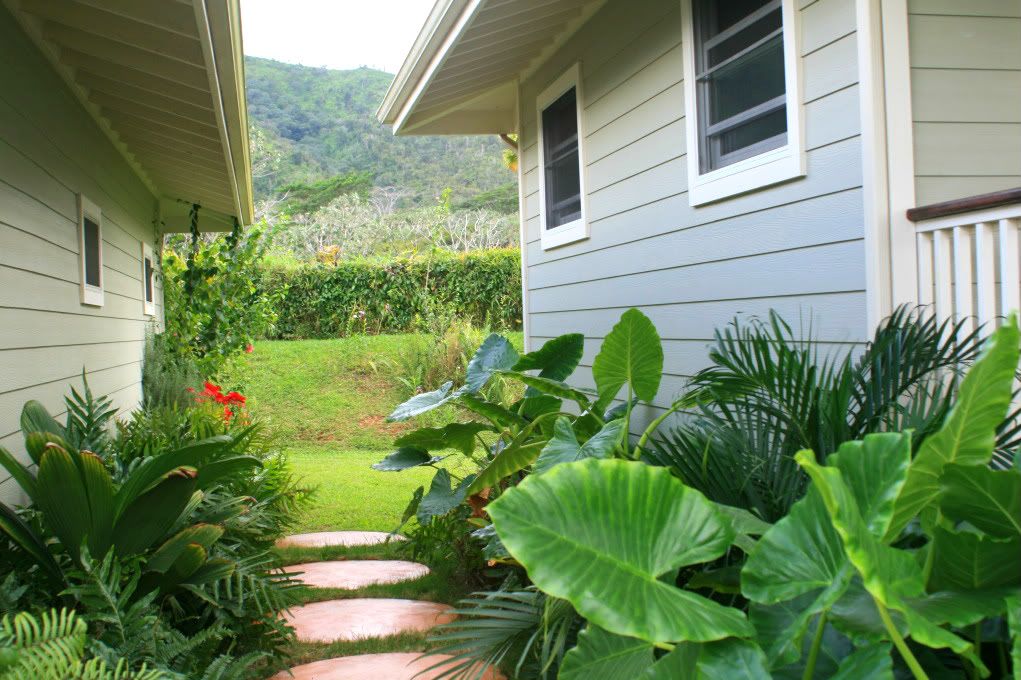 north shore of Kauai