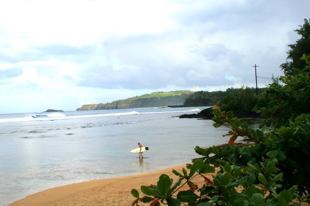 kauai beaches