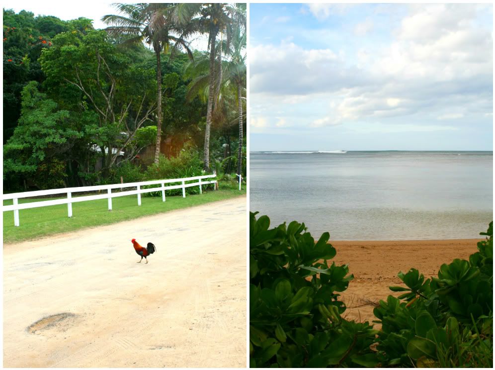 kauai beaches