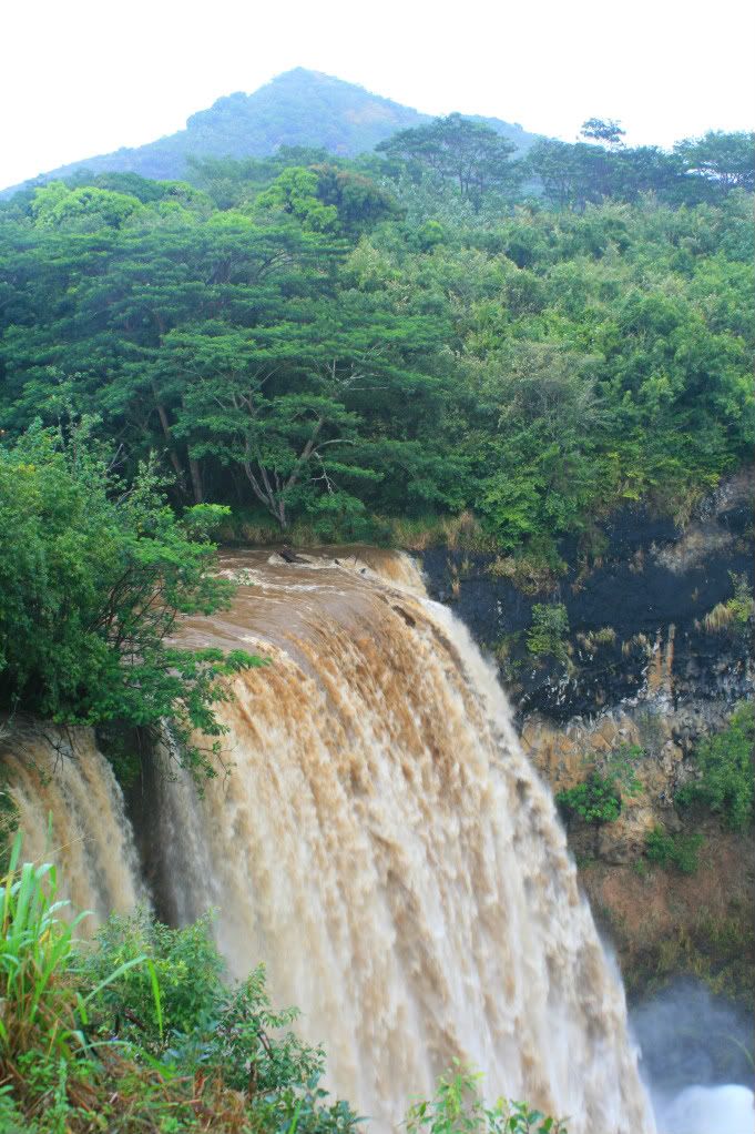 kauai waterfalls