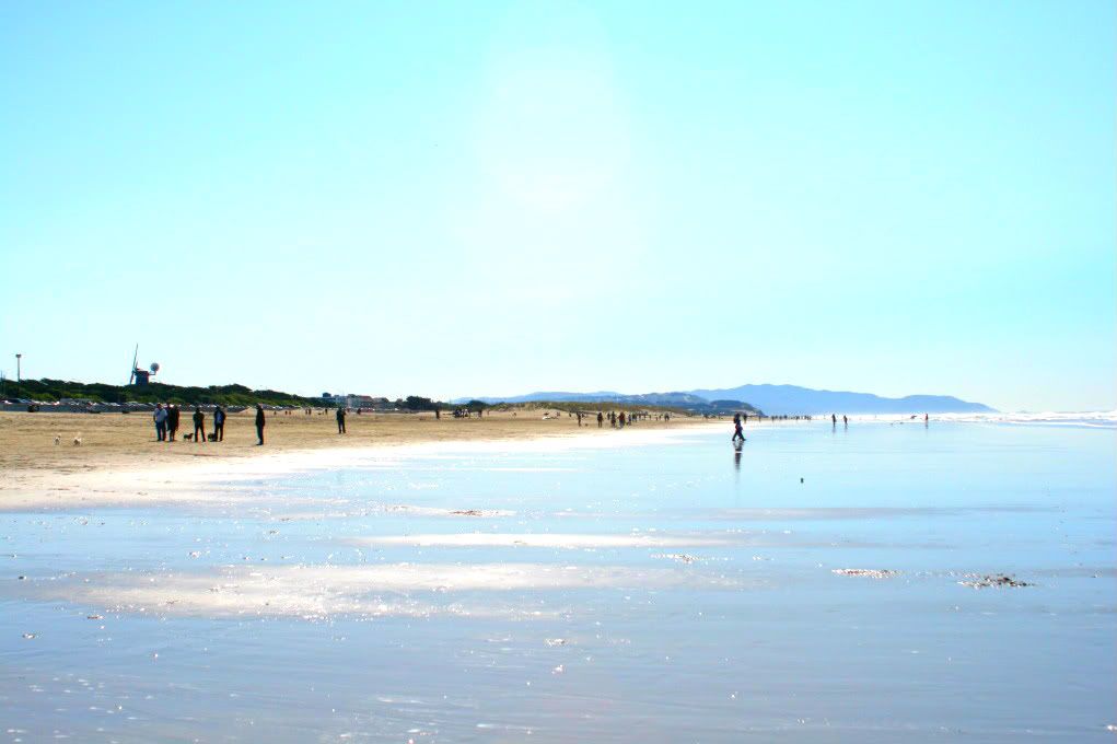 ocean beach at low tide