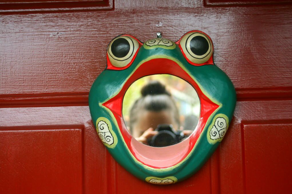 frog mirror