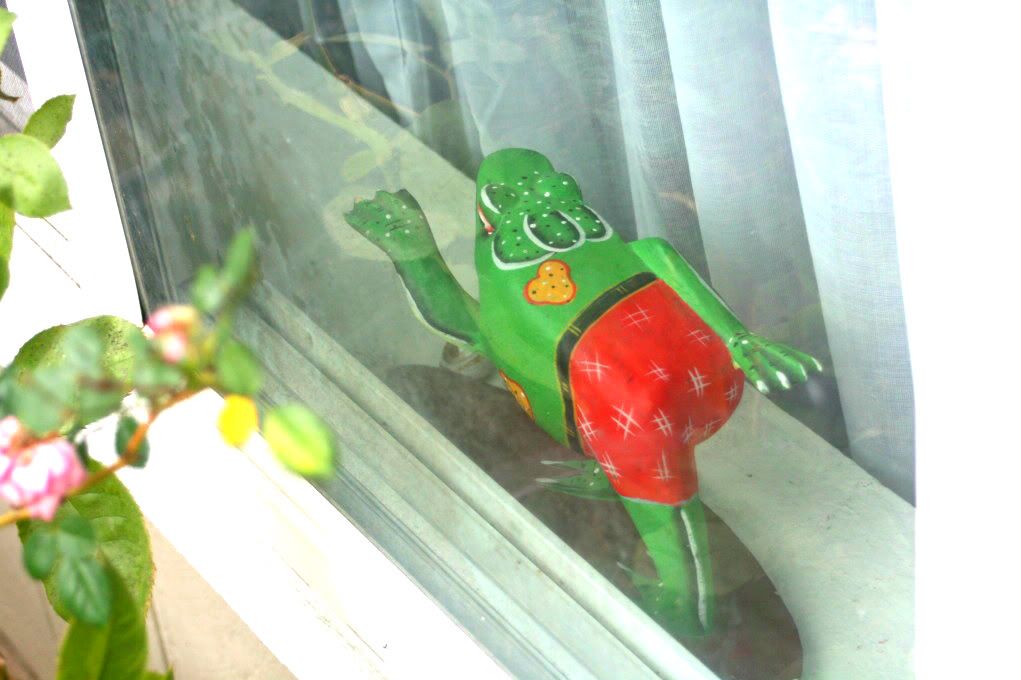 surfing frog