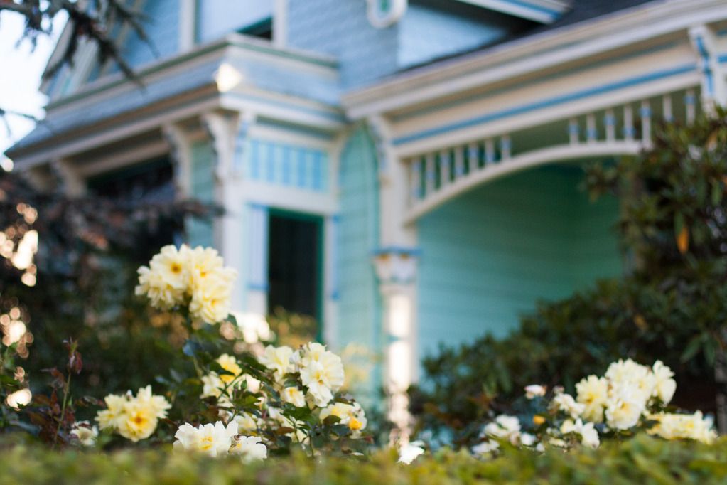 victorian in blue with roses