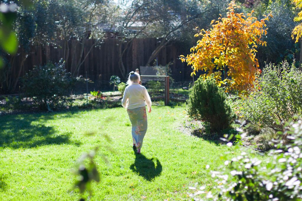 grandmother walking to persimmon tree