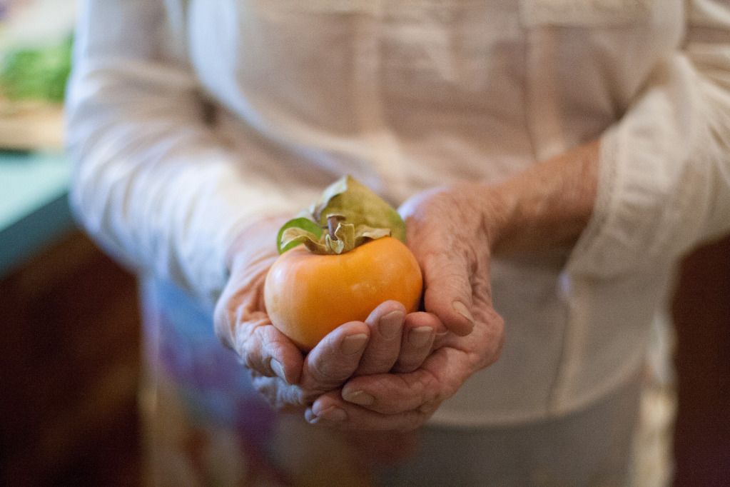 holding a persimmon in the kitchen