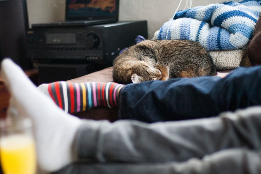 legs and sleeping kitty