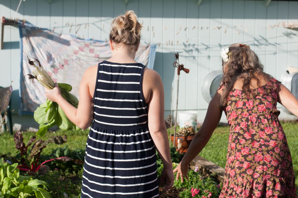 harvesting in dresses