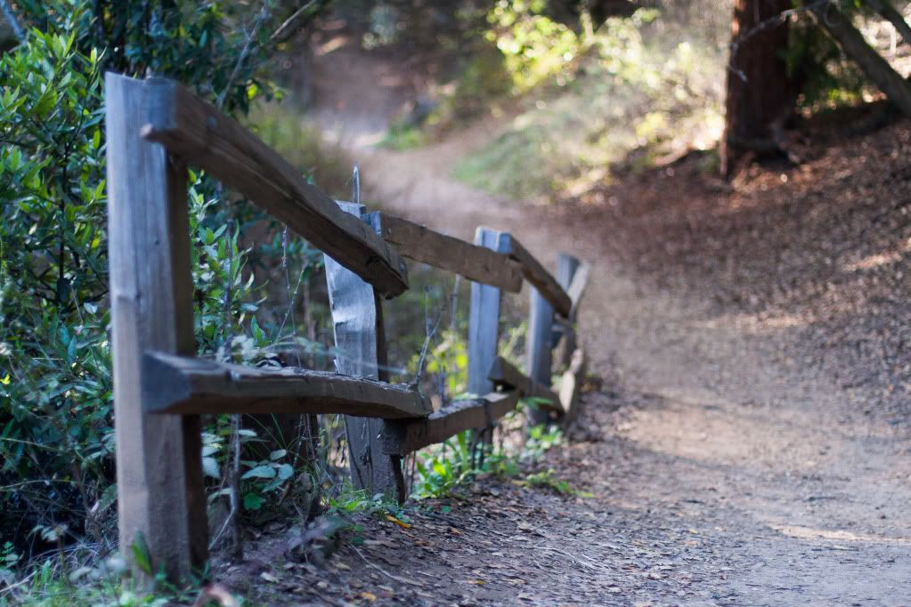 tilden park fence