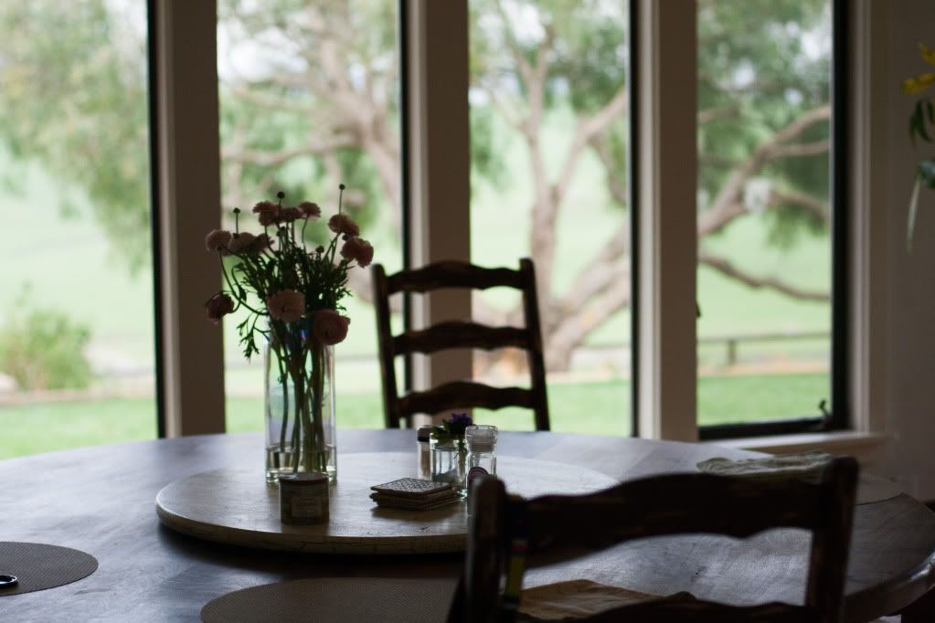 round table and windows