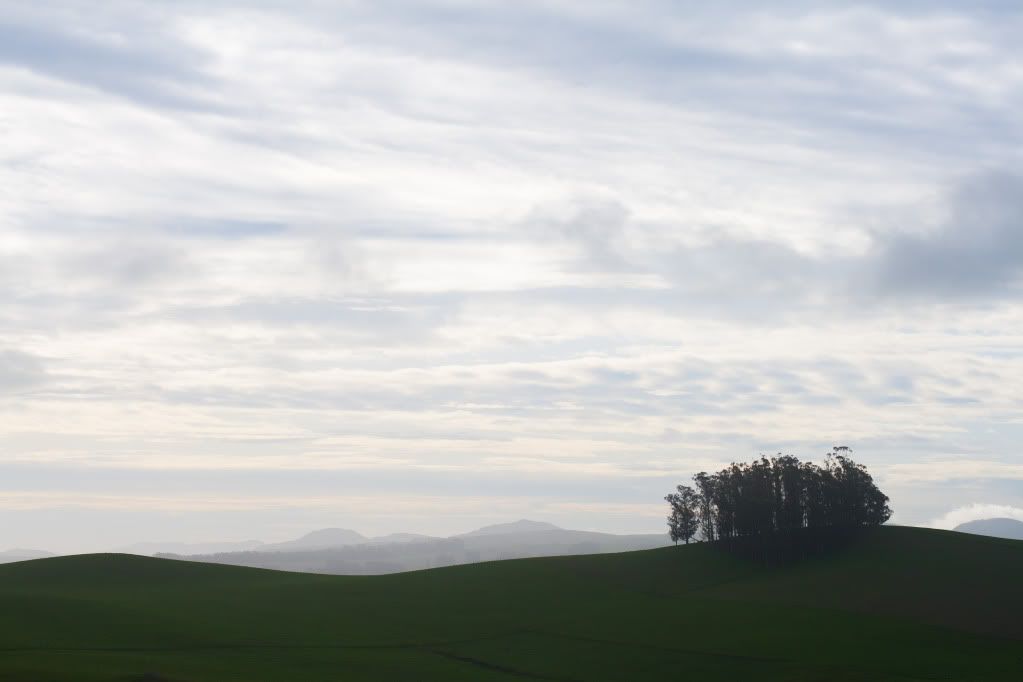 marin hills view