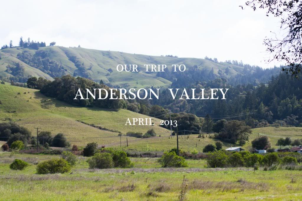 anderson valley postcard