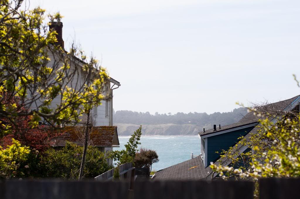 mendocino houses