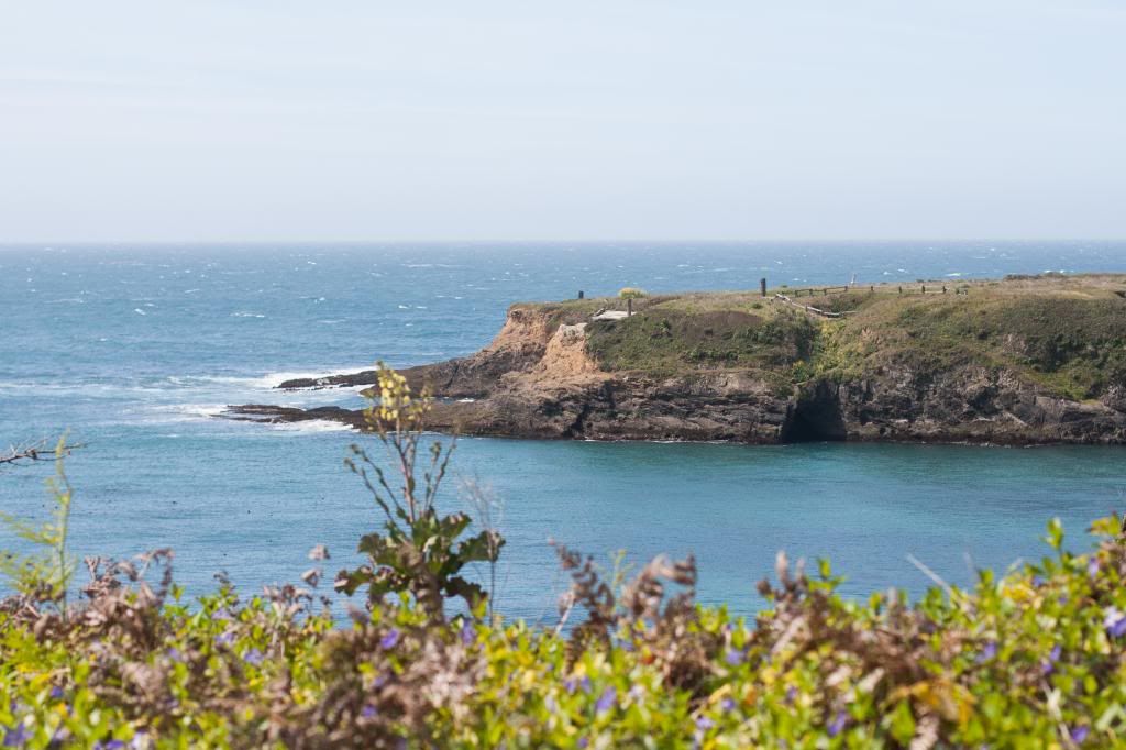 mendocino coast