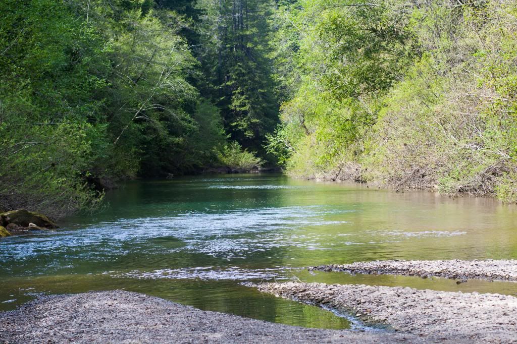 Navarro River Mendocino County