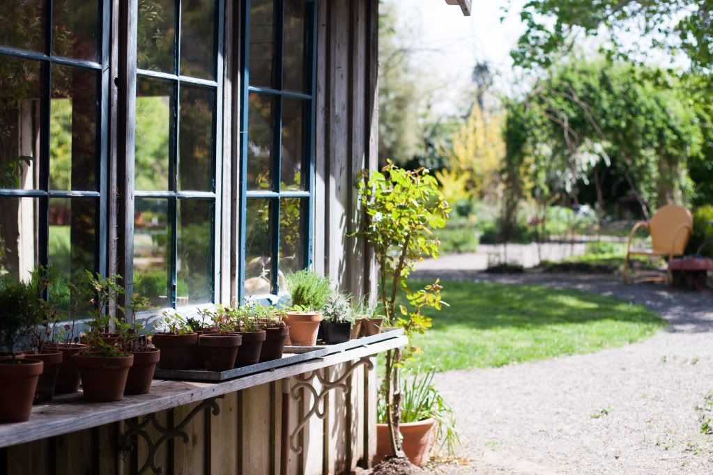 philo apple farm greenhouse