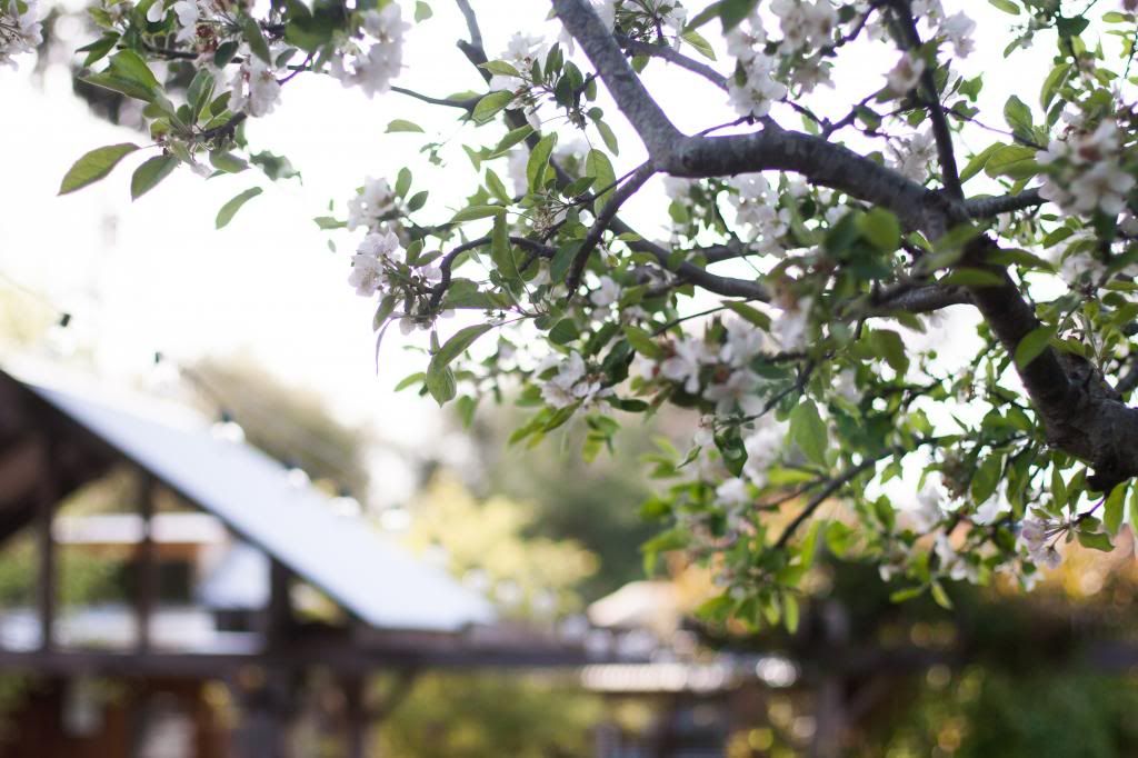 gardens at the boonville hotel