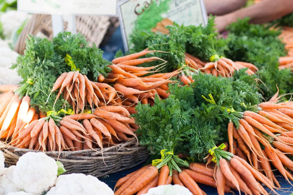carrots at the farmer's market