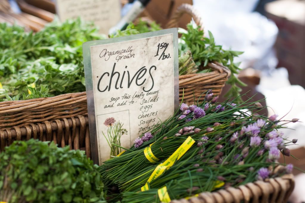 chives fresh farmers market produce