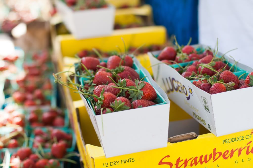 strawberries at the farmers market