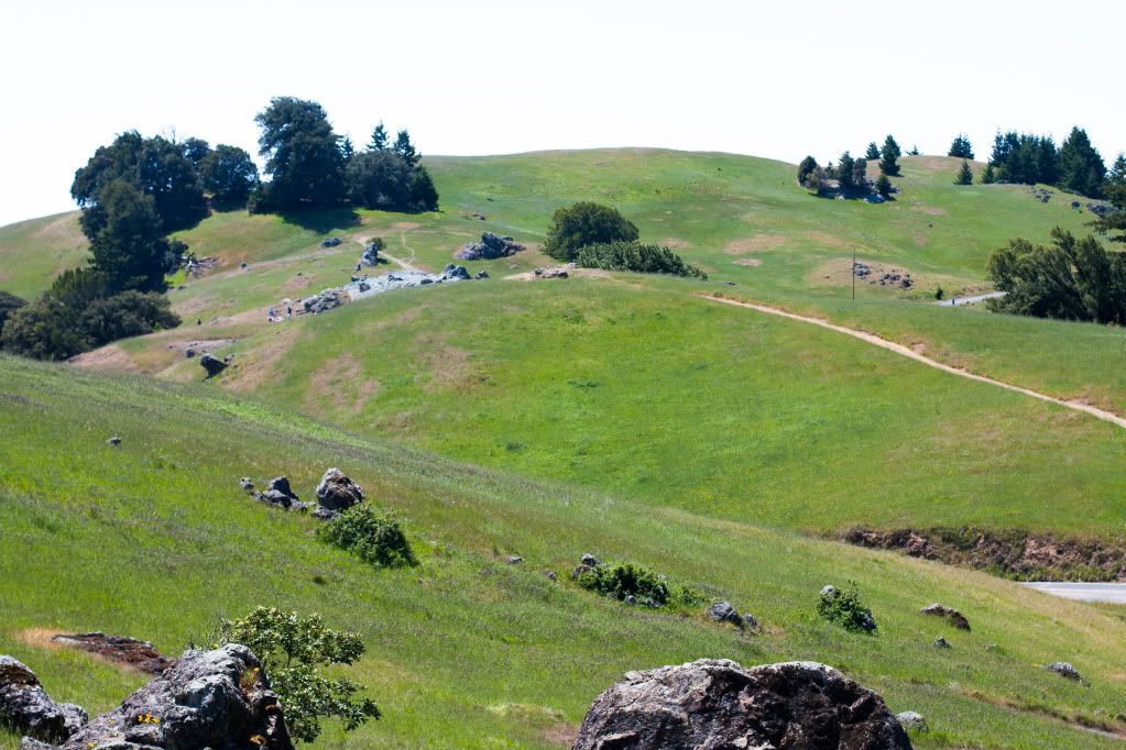 Mount Tamalpais