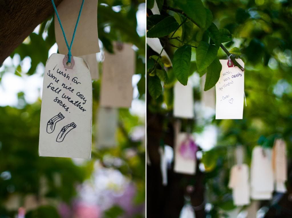 berkeley wish tree