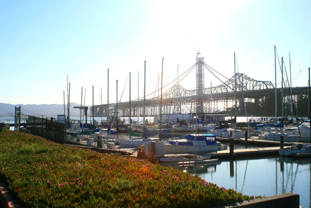 East span of Bay Bridge from Treasure Island Marina