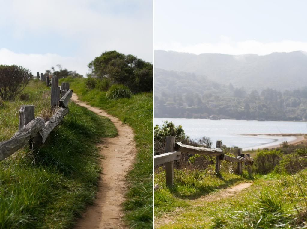 tomales bay fence green