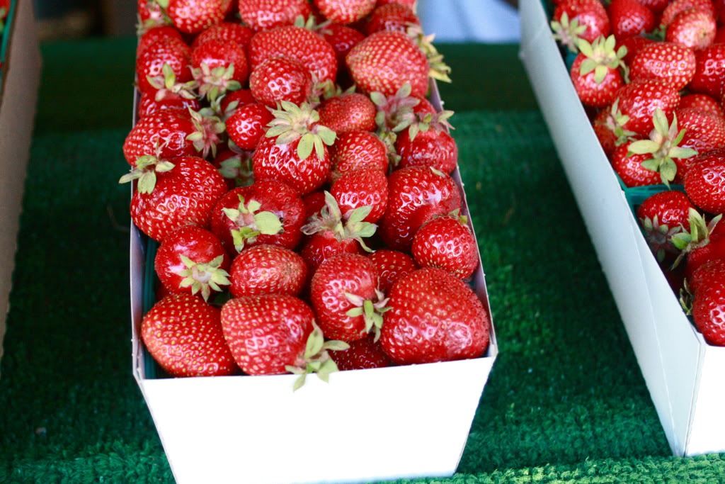 strawberries for sale