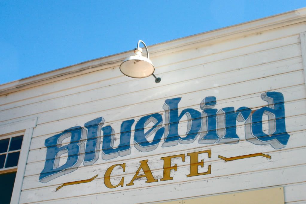 bluebird cafe hopland california