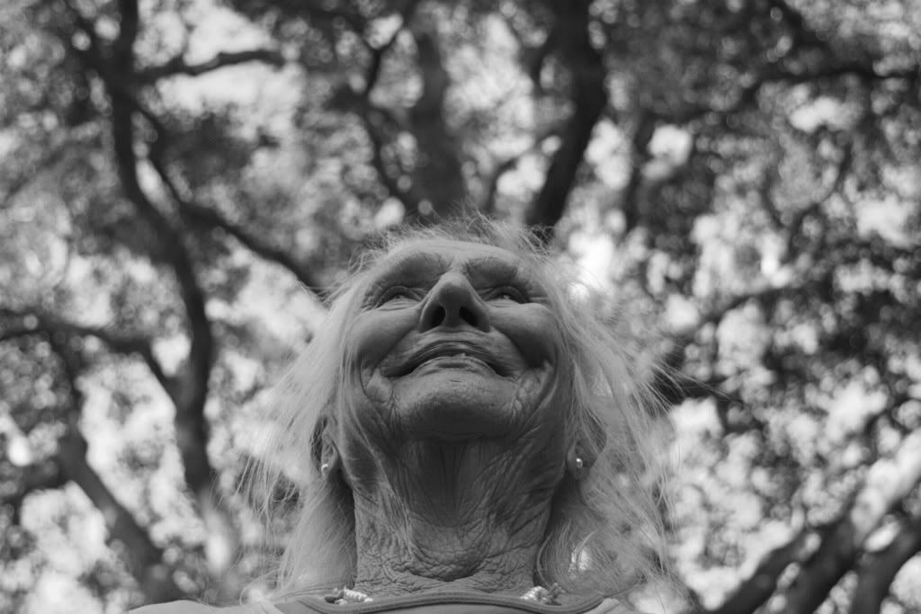 old lady wrinkles tree nature hair white