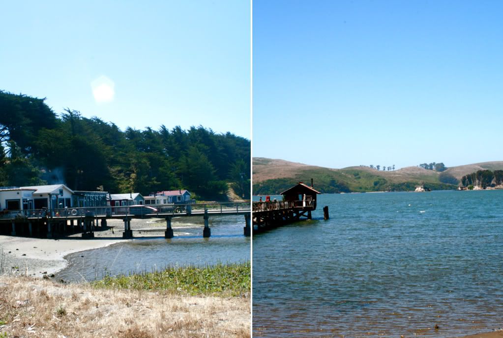 nick's cove tomales bay hog island