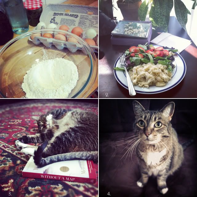 instagram with kitty and food