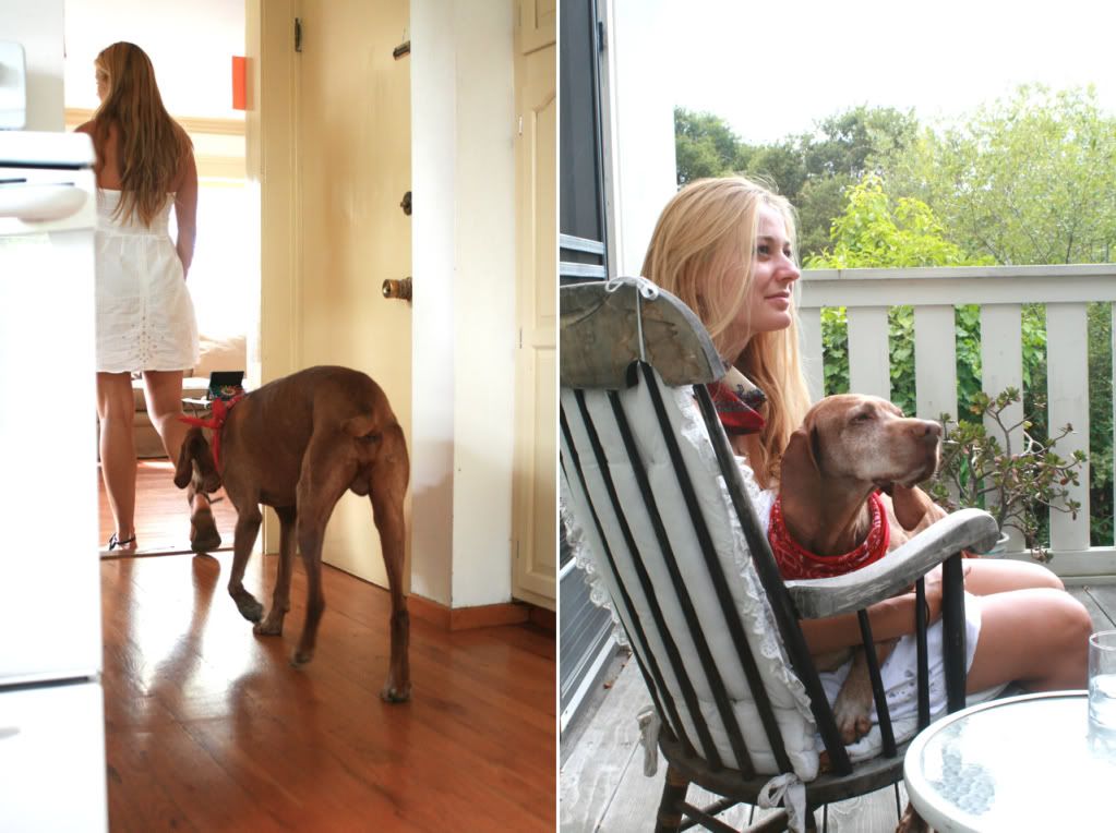 vizsla with his girl