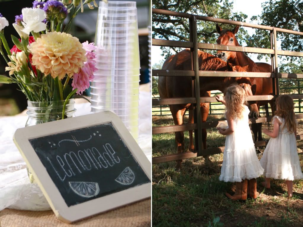 country lemonade and horses