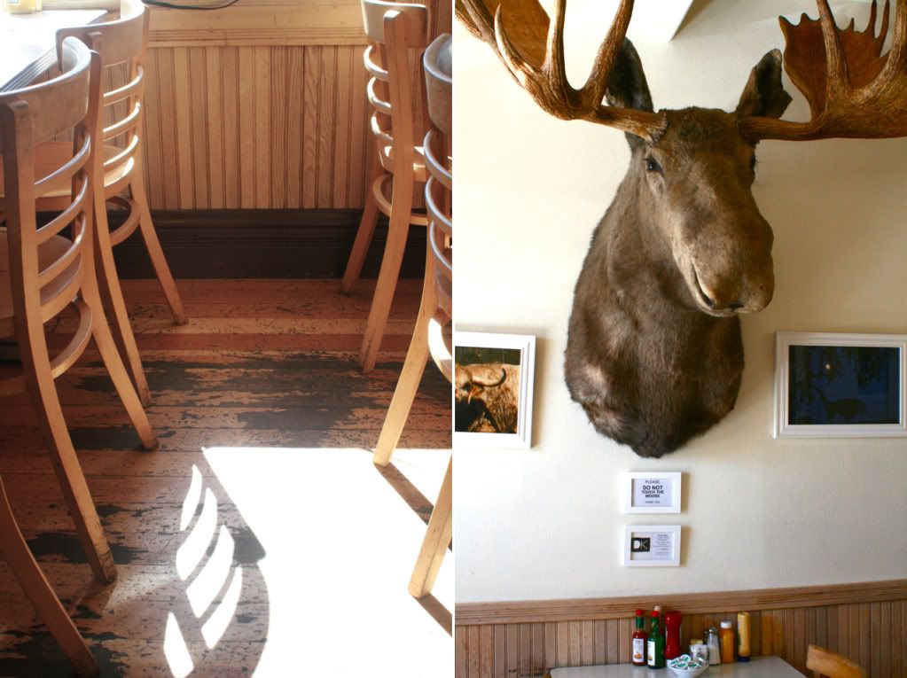 moose at bluebird cafe hopland