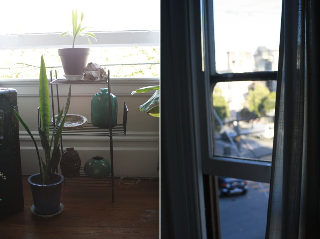 bottles and plants view from the second floor