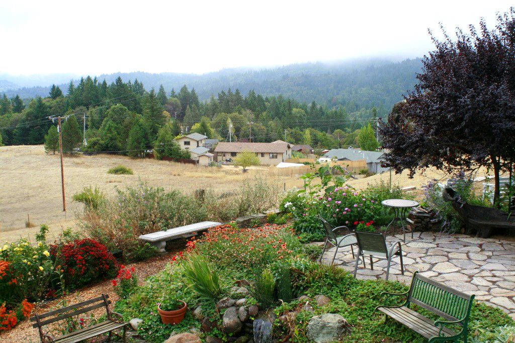 Brootrails willits garden view