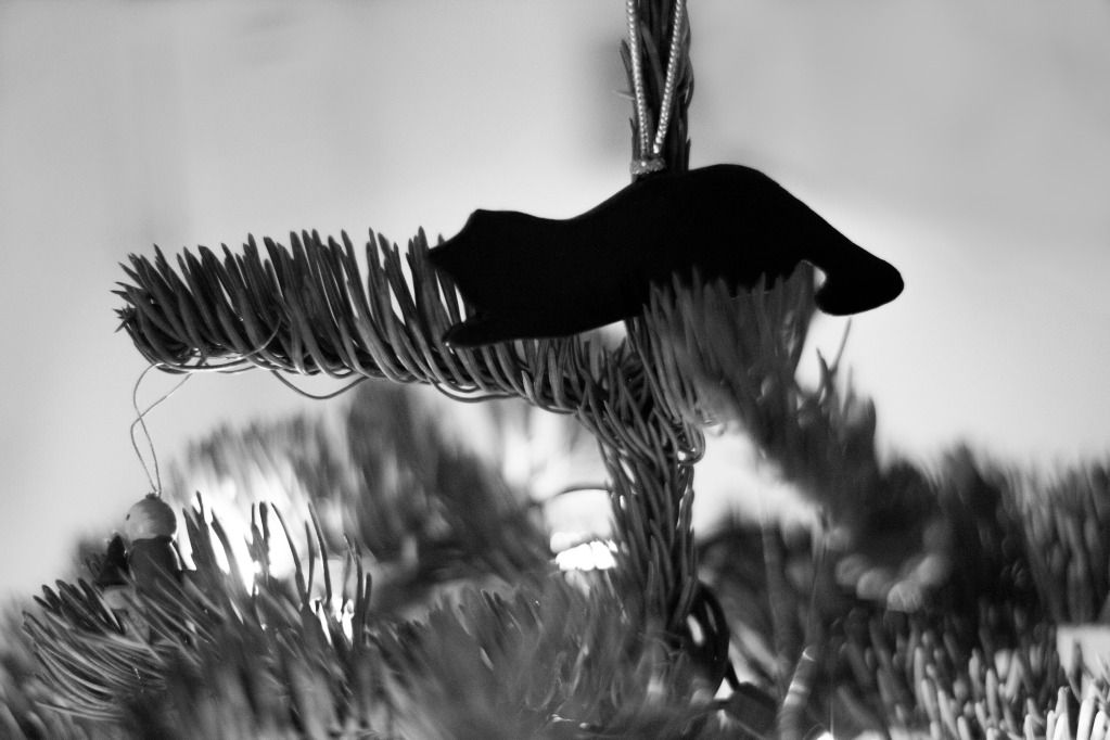 black cat christmas ornament