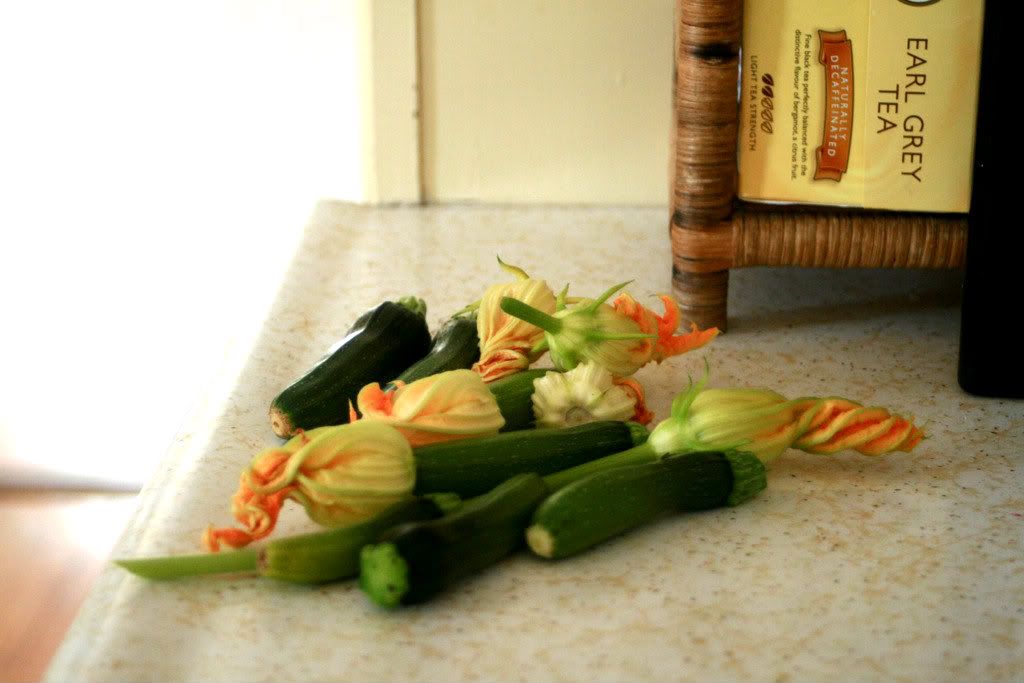 sauteed squash blossoms